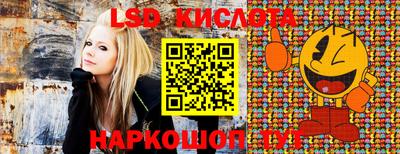 спиды Краснодар