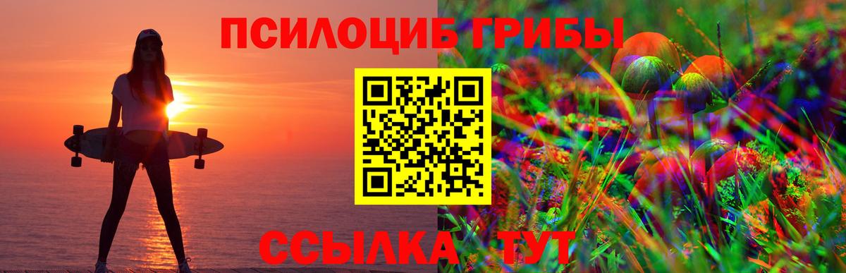 Фролово  Псилоцибиновые грибы Psilocybe  Псилоцибиновые грибы мухоморы  купить закладку  Вход с VPN 